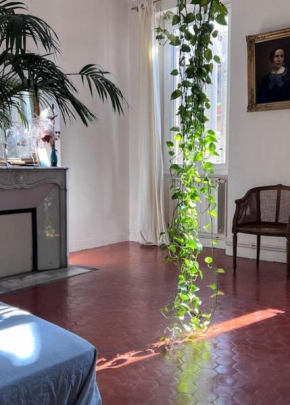 Grand appartement lumineux